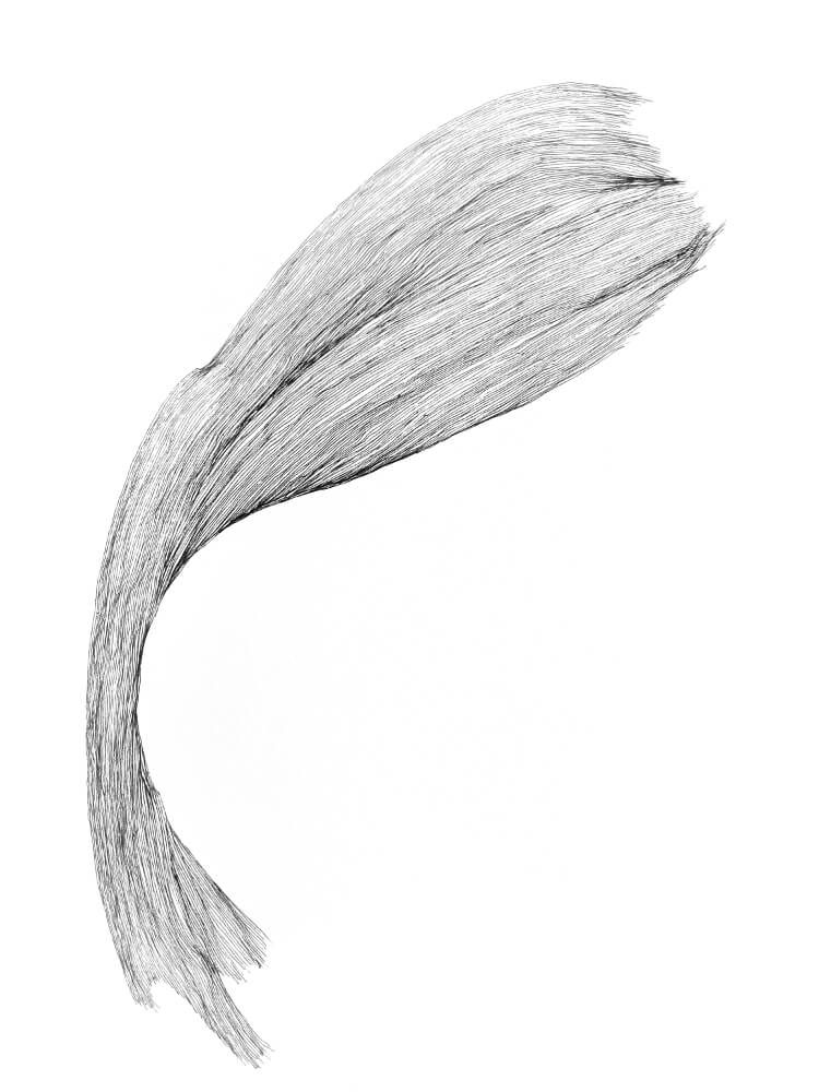 sketchbook drawing by Christina Kwan | tide & bloom