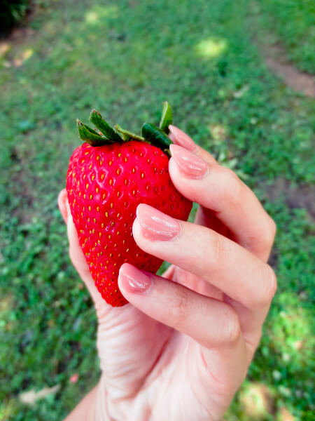 strawberry