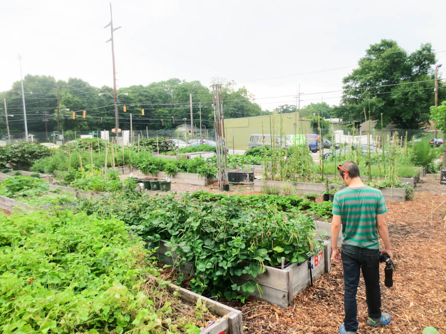 East Lake Urban Farm in Atlanta, GA | tide & bloom