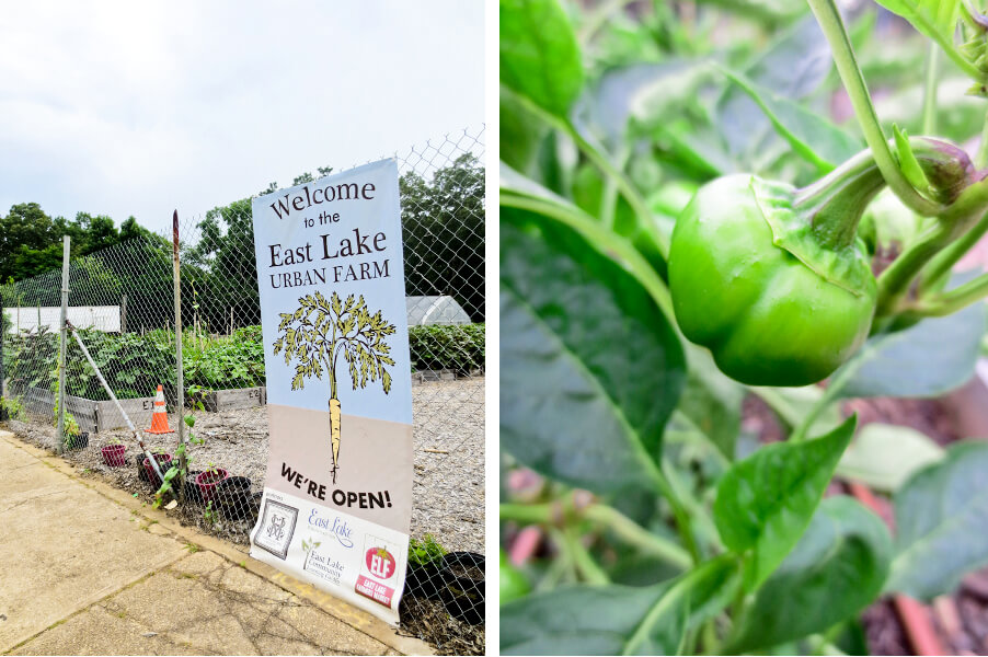 East Lake Urban Farm in Atlanta, GA | tide & bloom