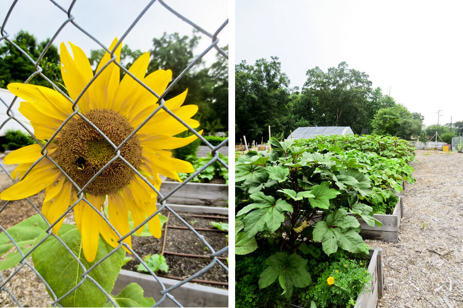 East Lake Urban Farm in Atlanta, GA | tide & bloom