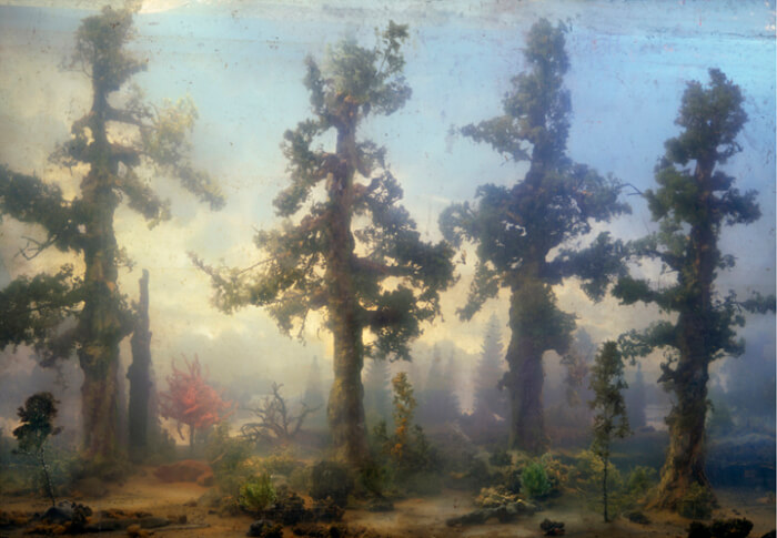 "Forest 68c" by Kim Keever | tide & bloom