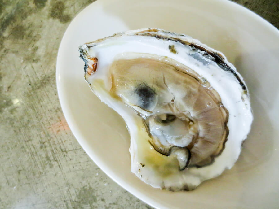 oysters at Perlas, Austin TX | tide & bloom