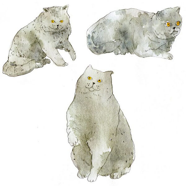 Vikki Chu cat illustration