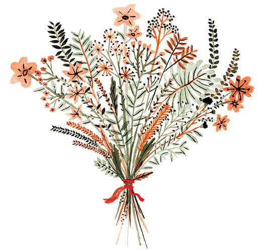 Vikki Chu floral illustration