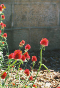 oakland-cemetery-27a