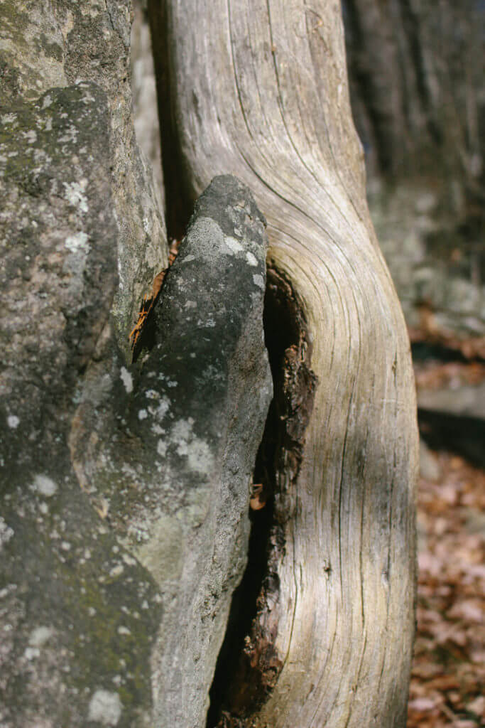 signal-mountain-tennessee-12a